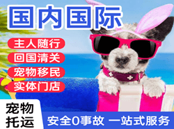 贵阳龙洞堡机场快递国际宠物托运 【国